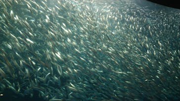 名古屋港水族館に投稿された画像（2022/4/9）