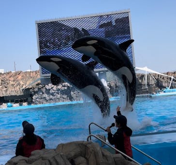 名古屋港水族館に投稿された画像（2022/4/9）