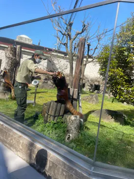 天王寺動物園に投稿された画像（2022/4/9）