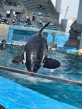 名古屋港水族館に投稿された画像（2022/4/9）