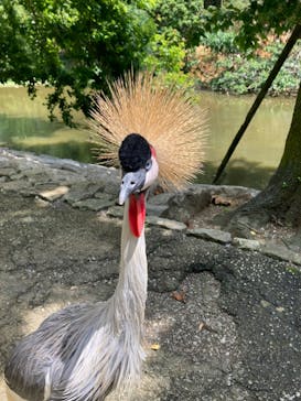 ネオパークオキナワに投稿された画像（2022/4/9）