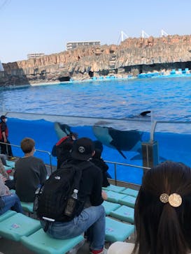 名古屋港水族館に投稿された画像（2022/4/9）