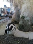 京都水族館に投稿された画像（2022/4/9）