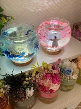 ずこうしつ〜sugamo〜に投稿された画像（2022/4/9）