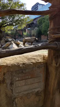 天王寺動物園に投稿された画像（2022/4/9）