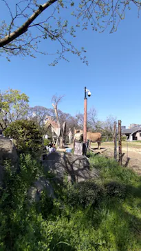 天王寺動物園に投稿された画像（2022/4/9）