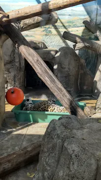 天王寺動物園に投稿された画像（2022/4/9）