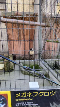 天王寺動物園に投稿された画像（2022/4/9）