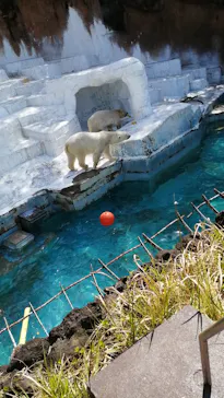 天王寺動物園に投稿された画像（2022/4/9）