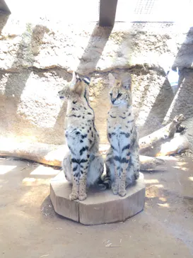 神戸どうぶつ王国に投稿された画像（2022/4/9）