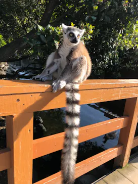 神戸どうぶつ王国に投稿された画像（2022/4/9）