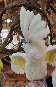 長崎バイオパークに投稿された画像（2022/4/9）