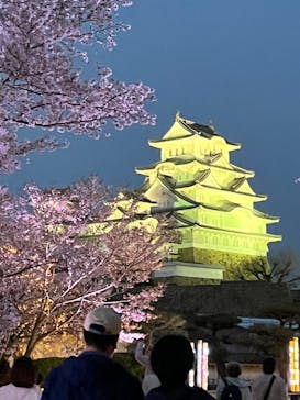姫路城（イベント）に投稿された画像（2022/4/9）