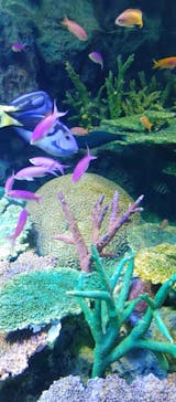 サンシャイン水族館に投稿された画像（2022/4/9）