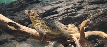 サンシャイン水族館に投稿された画像（2022/4/9）