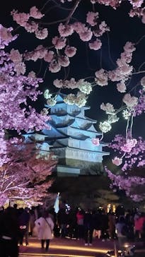 姫路城（イベント）に投稿された画像（2022/4/9）