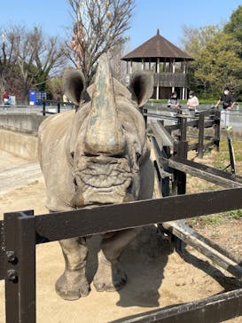 東武動物公園に投稿された画像（2022/4/9）