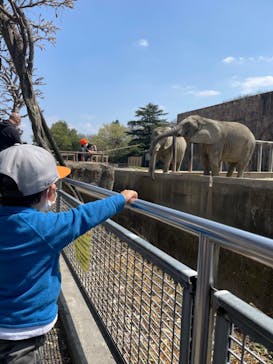 東武動物公園に投稿された画像（2022/4/9）