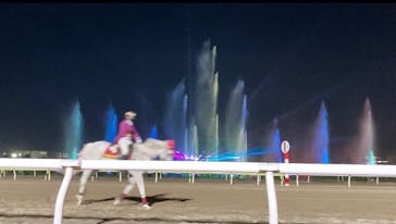 東京メガイルミに投稿された画像（2022/4/9）