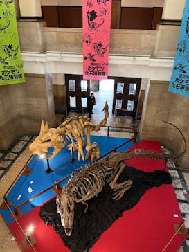 国立科学博物館　特別企画展「ポケモン化石博物館」に投稿された画像（2022/4/9）