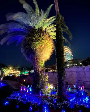 ひらかたパークに投稿された画像（2022/4/9）