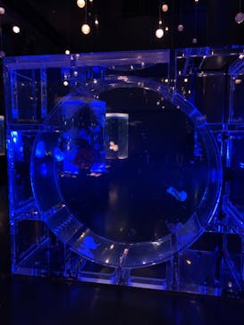 マクセル アクアパーク品川に投稿された画像（2022/4/9）