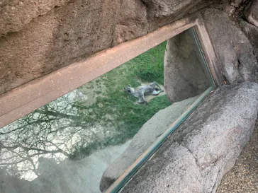 天王寺動物園に投稿された画像（2022/4/9）