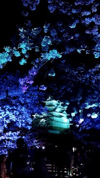 姫路城（イベント）に投稿された画像（2022/4/9）