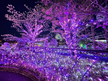 ひらかたパークに投稿された画像（2022/4/9）