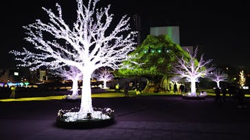 東京メガイルミに投稿された画像（2022/4/9）