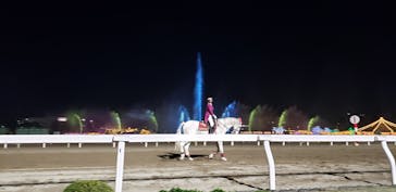 東京メガイルミに投稿された画像（2022/4/9）