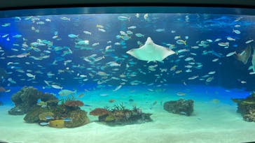 サンシャイン水族館に投稿された画像（2022/4/9）