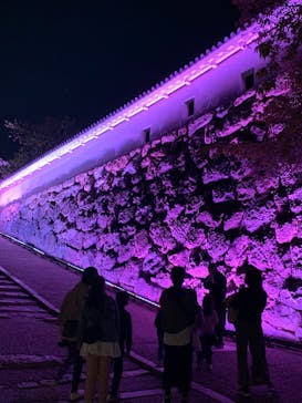 姫路城（イベント）に投稿された画像（2022/4/9）
