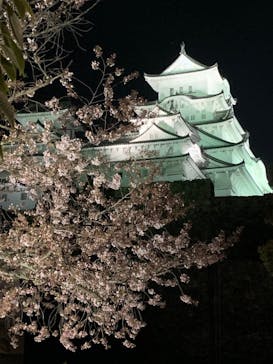 姫路城（イベント）に投稿された画像（2022/4/9）