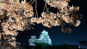 姫路城（イベント）に投稿された画像（2022/4/9）