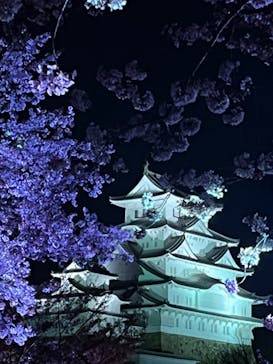 姫路城（イベント）に投稿された画像（2022/4/9）