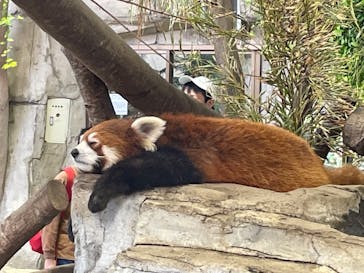 那須どうぶつ王国に投稿された画像（2022/4/9）