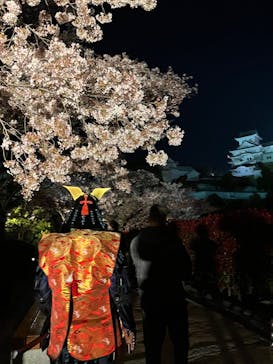 姫路城（イベント）に投稿された画像（2022/4/9）