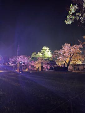 姫路城（イベント）に投稿された画像（2022/4/9）