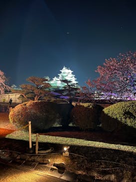姫路城（イベント）に投稿された画像（2022/4/9）