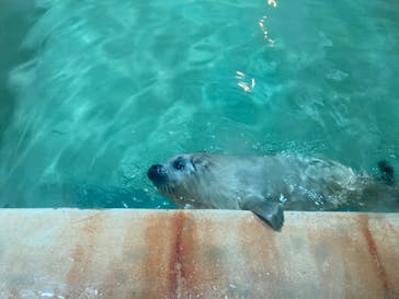 大分マリーンパレス水族館 「うみたまご」に投稿された画像（2022/4/9）