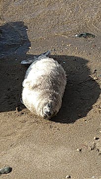 伊豆・三津シーパラダイスに投稿された画像（2022/4/9）