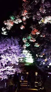 姫路城（イベント）に投稿された画像（2022/4/9）