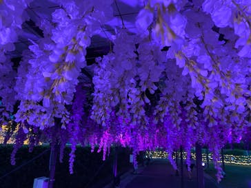 東京メガイルミに投稿された画像（2022/4/9）