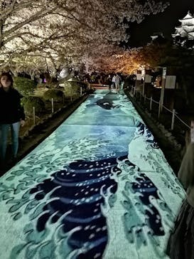 姫路城（イベント）に投稿された画像（2022/4/9）