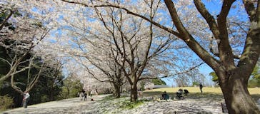 とっとり花回廊に投稿された画像（2022/4/9）