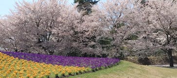 とっとり花回廊に投稿された画像（2022/4/9）