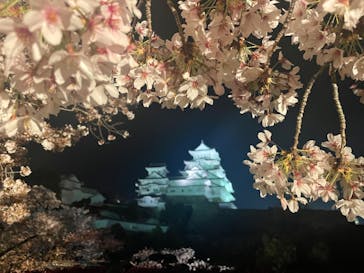 姫路城（イベント）に投稿された画像（2022/4/9）