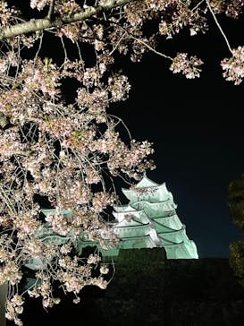 姫路城（イベント）に投稿された画像（2022/4/9）