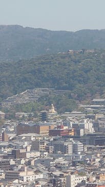 ニデック京都タワーに投稿された画像（2022/4/9）